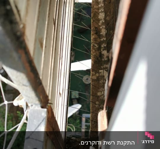 רשת מתכת עם דוקרנים למניעת כניסת יונים